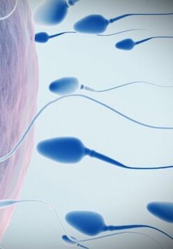 Sperm for low power