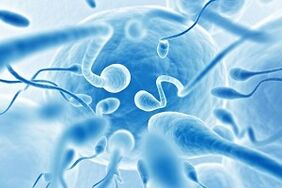 sperm in men's secretion during arousal